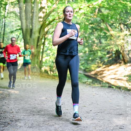 28.09.2025 - 33. Volkslauf durch das schöne Alstertal Dr. Thomas Lammeyer http://msf.ph/oto/8957551 28.09.2025 10:48:41 Laufen  meine-sportfotos.de