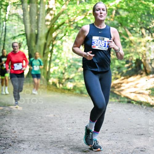 28.09.2025 - 33. Volkslauf durch das schöne Alstertal Dr. Thomas Lammeyer http://msf.ph/oto/8957553 28.09.2025 10:48:41 Laufen 3081 meine-sportfotos.de