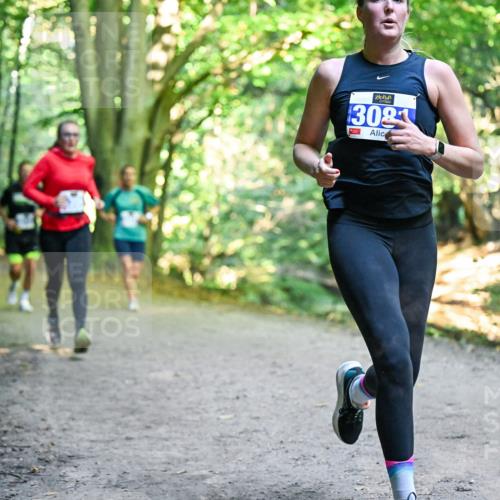 28.09.2025 - 33. Volkslauf durch das schöne Alstertal Dr. Thomas Lammeyer http://msf.ph/oto/8957554 28.09.2025 10:48:42 Laufen 3021 meine-sportfotos.de