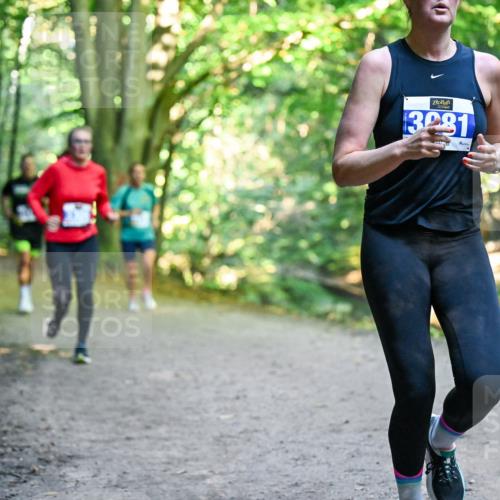 28.09.2025 - 33. Volkslauf durch das schöne Alstertal Dr. Thomas Lammeyer http://msf.ph/oto/8957555 28.09.2025 10:48:42 Laufen 3231 meine-sportfotos.de
