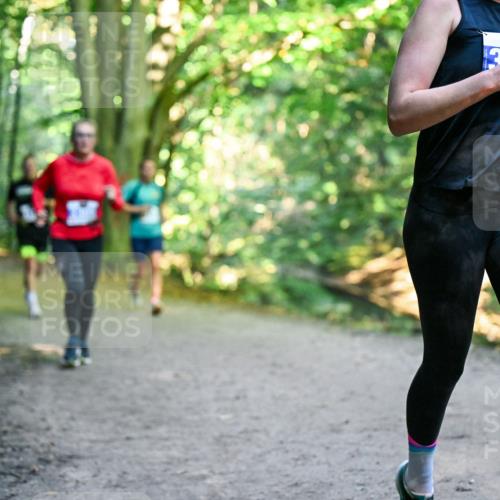28.09.2025 - 33. Volkslauf durch das schöne Alstertal Dr. Thomas Lammeyer http://msf.ph/oto/8957556 28.09.2025 10:48:42 Laufen  meine-sportfotos.de
