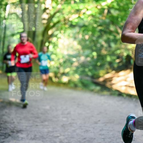 28.09.2025 - 33. Volkslauf durch das schöne Alstertal Dr. Thomas Lammeyer http://msf.ph/oto/8957558 28.09.2025 10:48:42 Laufen 3081 meine-sportfotos.de