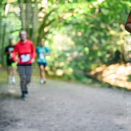 28.09.2025 - 33. Volkslauf durch das schöne Alstertal Dr. Thomas Lammeyer http://msf.ph/oto/8957559 28.09.2025 10:48:42 Laufen  meine-sportfotos.de