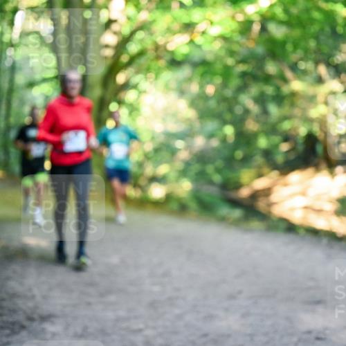 28.09.2025 - 33. Volkslauf durch das schöne Alstertal Dr. Thomas Lammeyer http://msf.ph/oto/8957560 28.09.2025 10:48:42 Laufen  meine-sportfotos.de