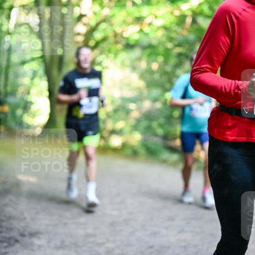28.09.2025 - 33. Volkslauf durch das schöne Alstertal Dr. Thomas Lammeyer http://msf.ph/oto/8957574 28.09.2025 10:48:44 Laufen 3306 meine-sportfotos.de