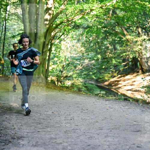 28.09.2025 - 33. Volkslauf durch das schöne Alstertal Dr. Thomas Lammeyer http://msf.ph/oto/8957587 28.09.2025 10:48:47 Laufen 3116 meine-sportfotos.de
