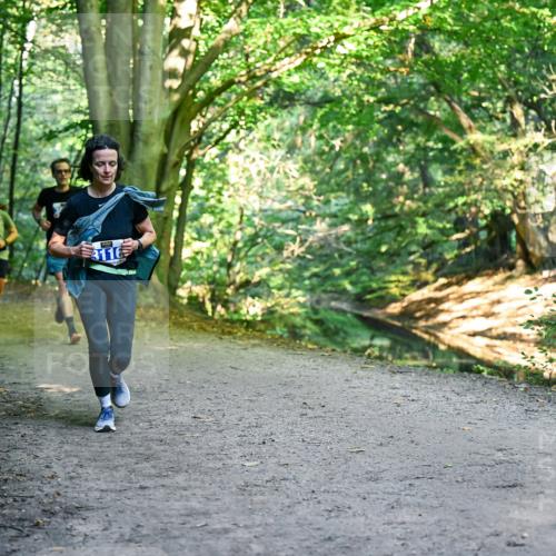 28.09.2025 - 33. Volkslauf durch das schöne Alstertal Dr. Thomas Lammeyer http://msf.ph/oto/8957588 28.09.2025 10:48:48 Laufen 3116 meine-sportfotos.de