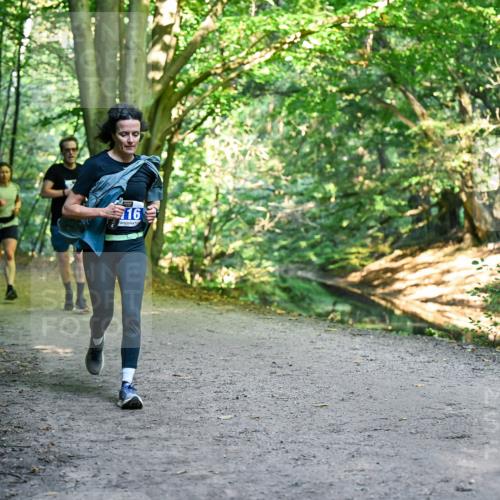 28.09.2025 - 33. Volkslauf durch das schöne Alstertal Dr. Thomas Lammeyer http://msf.ph/oto/8957590 28.09.2025 10:48:48 Laufen 16 meine-sportfotos.de