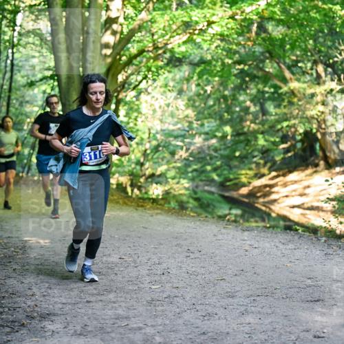 28.09.2025 - 33. Volkslauf durch das schöne Alstertal Dr. Thomas Lammeyer http://msf.ph/oto/8957591 28.09.2025 10:48:48 Laufen 311 meine-sportfotos.de