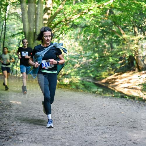 28.09.2025 - 33. Volkslauf durch das schöne Alstertal Dr. Thomas Lammeyer http://msf.ph/oto/8957594 28.09.2025 10:48:48 Laufen 311 meine-sportfotos.de