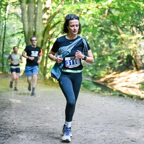 28.09.2025 - 33. Volkslauf durch das schöne Alstertal Dr. Thomas Lammeyer http://msf.ph/oto/8957599 28.09.2025 10:48:49 Laufen 3116 meine-sportfotos.de