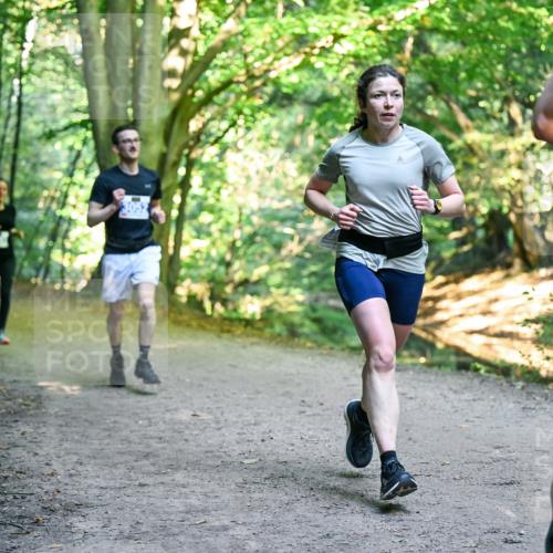 28.09.2025 - 33. Volkslauf durch das schöne Alstertal Dr. Thomas Lammeyer http://msf.ph/oto/8957620 28.09.2025 10:48:52 Laufen  meine-sportfotos.de