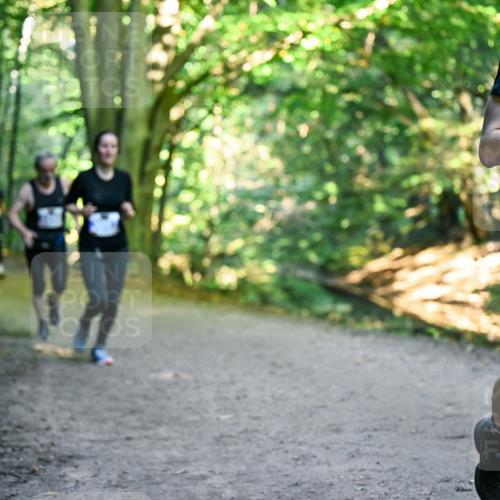 28.09.2025 - 33. Volkslauf durch das schöne Alstertal Dr. Thomas Lammeyer http://msf.ph/oto/8957636 28.09.2025 10:48:54 Laufen 352 meine-sportfotos.de