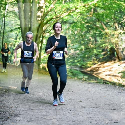 28.09.2025 - 33. Volkslauf durch das schöne Alstertal Dr. Thomas Lammeyer http://msf.ph/oto/8957641 28.09.2025 10:48:55 Laufen 3344, 3093 meine-sportfotos.de