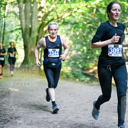 28.09.2025 - 33. Volkslauf durch das schöne Alstertal Dr. Thomas Lammeyer http://msf.ph/oto/8957647 28.09.2025 10:48:56 Laufen 3344, 3093, 9 meine-sportfotos.de