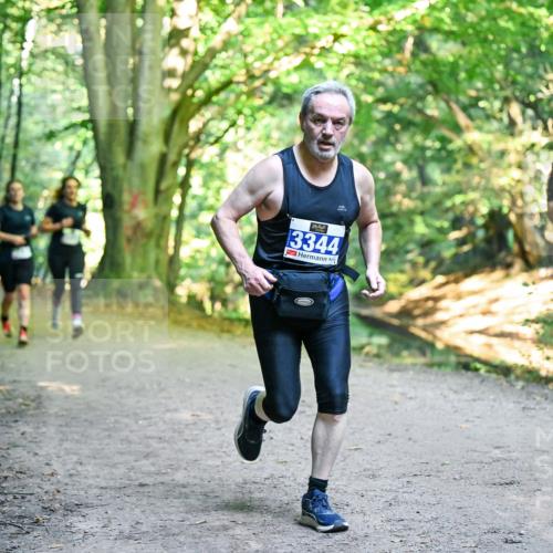 28.09.2025 - 33. Volkslauf durch das schöne Alstertal Dr. Thomas Lammeyer http://msf.ph/oto/8957649 28.09.2025 10:48:56 Laufen 3344, 444, 1309 meine-sportfotos.de