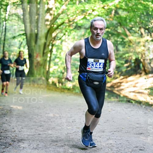 28.09.2025 - 33. Volkslauf durch das schöne Alstertal Dr. Thomas Lammeyer http://msf.ph/oto/8957651 28.09.2025 10:48:56 Laufen 3344 meine-sportfotos.de