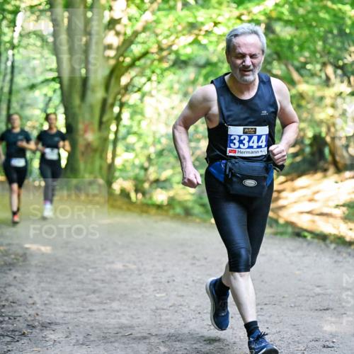 28.09.2025 - 33. Volkslauf durch das schöne Alstertal Dr. Thomas Lammeyer http://msf.ph/oto/8957652 28.09.2025 10:48:56 Laufen 3344 meine-sportfotos.de