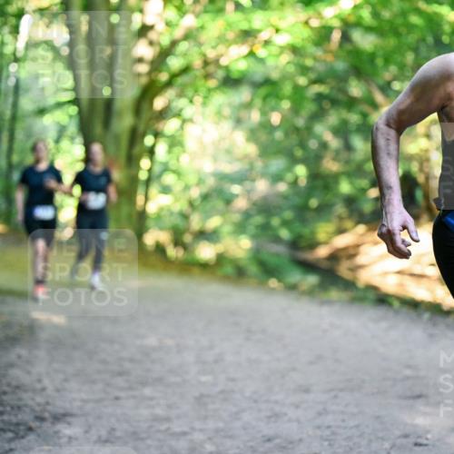 28.09.2025 - 33. Volkslauf durch das schöne Alstertal Dr. Thomas Lammeyer http://msf.ph/oto/8957656 28.09.2025 10:48:57 Laufen 3344 meine-sportfotos.de