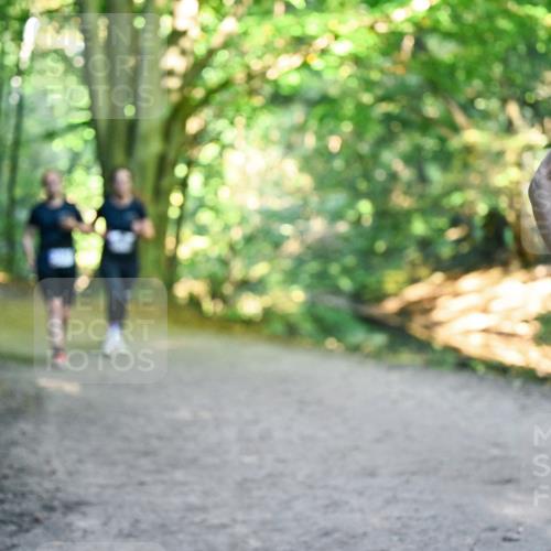 28.09.2025 - 33. Volkslauf durch das schöne Alstertal Dr. Thomas Lammeyer http://msf.ph/oto/8957657 28.09.2025 10:48:57 Laufen  meine-sportfotos.de