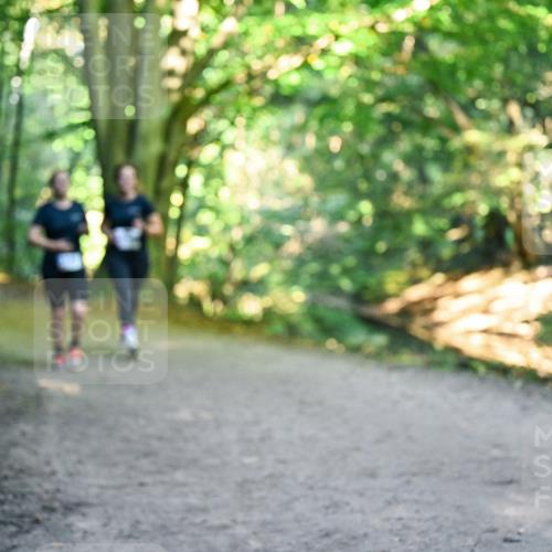 28.09.2025 - 33. Volkslauf durch das schöne Alstertal Dr. Thomas Lammeyer http://msf.ph/oto/8957658 28.09.2025 10:48:57 Laufen  meine-sportfotos.de
