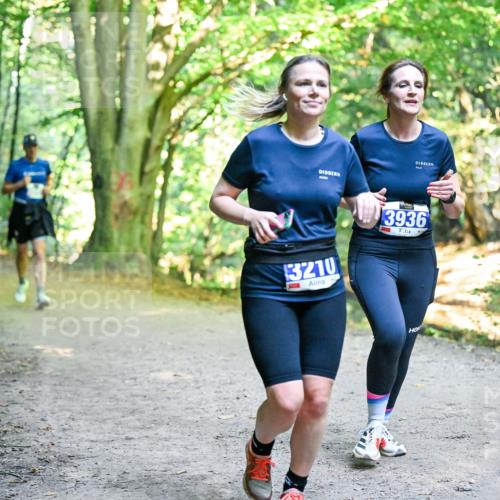 28.09.2025 - 33. Volkslauf durch das schöne Alstertal Dr. Thomas Lammeyer http://msf.ph/oto/8957675 28.09.2025 10:49:00 Laufen 3210, 3936 meine-sportfotos.de