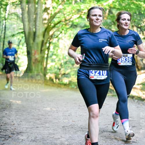 28.09.2025 - 33. Volkslauf durch das schöne Alstertal Dr. Thomas Lammeyer http://msf.ph/oto/8957676 28.09.2025 10:49:00 Laufen 3210, 3936 meine-sportfotos.de
