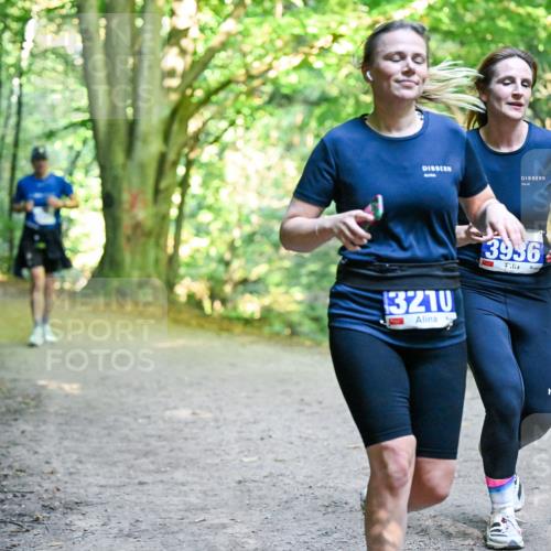 28.09.2025 - 33. Volkslauf durch das schöne Alstertal Dr. Thomas Lammeyer http://msf.ph/oto/8957678 28.09.2025 10:49:00 Laufen 3210, 3936 meine-sportfotos.de