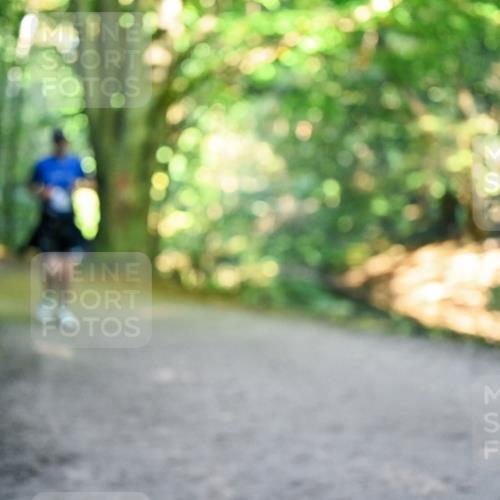 28.09.2025 - 33. Volkslauf durch das schöne Alstertal Dr. Thomas Lammeyer http://msf.ph/oto/8957682 28.09.2025 10:49:01 Laufen  meine-sportfotos.de
