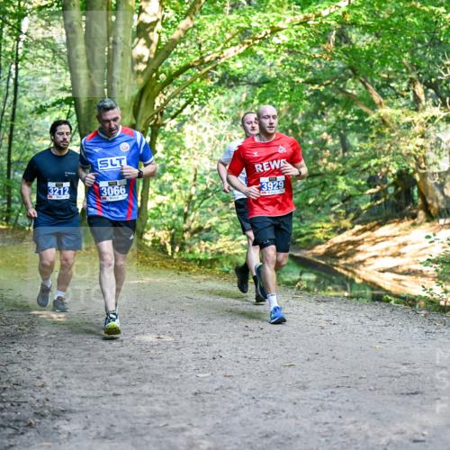 28.09.2025 - 33. Volkslauf durch das schöne Alstertal Dr. Thomas Lammeyer http://msf.ph/oto/8957692 28.09.2025 10:49:07 Laufen 3212, 3066, 3929 meine-sportfotos.de