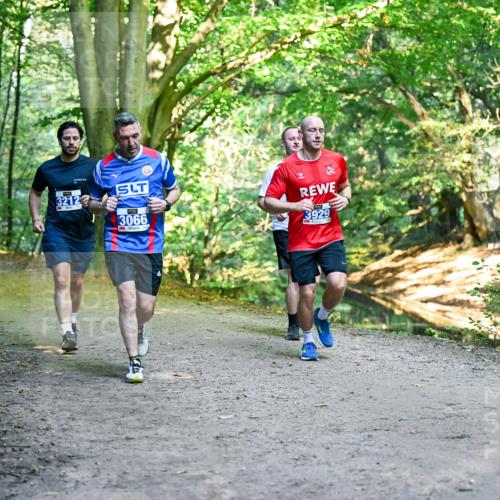28.09.2025 - 33. Volkslauf durch das schöne Alstertal Dr. Thomas Lammeyer http://msf.ph/oto/8957693 28.09.2025 10:49:07 Laufen 3212, 3066, 3929 meine-sportfotos.de