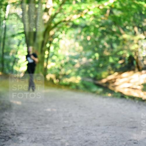 28.09.2025 - 33. Volkslauf durch das schöne Alstertal Dr. Thomas Lammeyer http://msf.ph/oto/8957717 28.09.2025 10:49:10 Laufen  meine-sportfotos.de