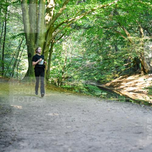 28.09.2025 - 33. Volkslauf durch das schöne Alstertal Dr. Thomas Lammeyer http://msf.ph/oto/8957718 28.09.2025 10:49:11 Laufen  meine-sportfotos.de