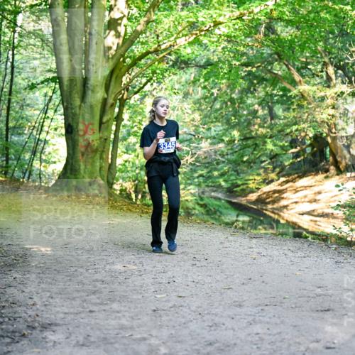 28.09.2025 - 33. Volkslauf durch das schöne Alstertal Dr. Thomas Lammeyer http://msf.ph/oto/8957719 28.09.2025 10:49:12 Laufen 3345 meine-sportfotos.de