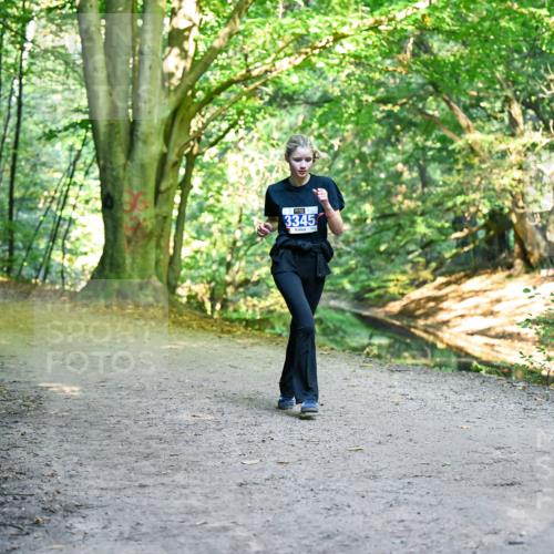 28.09.2025 - 33. Volkslauf durch das schöne Alstertal Dr. Thomas Lammeyer http://msf.ph/oto/8957722 28.09.2025 10:49:12 Laufen 3345 meine-sportfotos.de