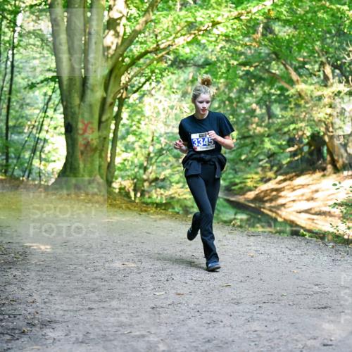 28.09.2025 - 33. Volkslauf durch das schöne Alstertal Dr. Thomas Lammeyer http://msf.ph/oto/8957723 28.09.2025 10:49:13 Laufen 3345 meine-sportfotos.de
