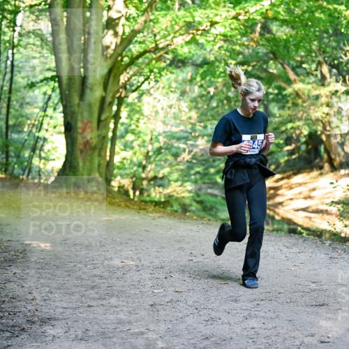 28.09.2025 - 33. Volkslauf durch das schöne Alstertal Dr. Thomas Lammeyer http://msf.ph/oto/8957727 28.09.2025 10:49:13 Laufen  meine-sportfotos.de