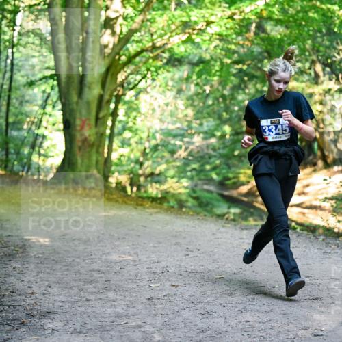 28.09.2025 - 33. Volkslauf durch das schöne Alstertal Dr. Thomas Lammeyer http://msf.ph/oto/8957729 28.09.2025 10:49:13 Laufen 3345 meine-sportfotos.de
