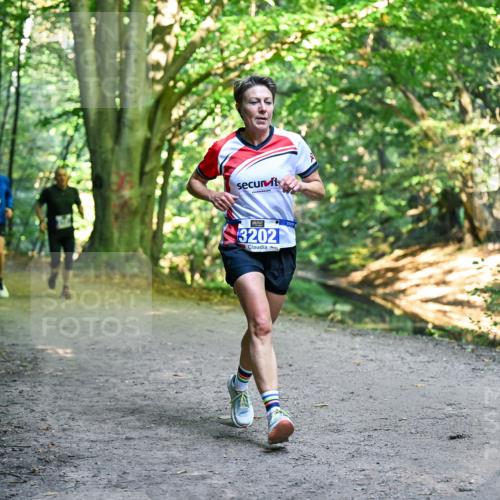 28.09.2025 - 33. Volkslauf durch das schöne Alstertal Dr. Thomas Lammeyer http://msf.ph/oto/8957755 28.09.2025 10:49:21 Laufen 3202 meine-sportfotos.de