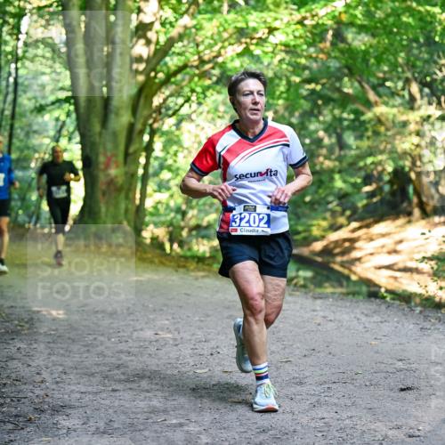 28.09.2025 - 33. Volkslauf durch das schöne Alstertal Dr. Thomas Lammeyer http://msf.ph/oto/8957757 28.09.2025 10:49:21 Laufen 3202 meine-sportfotos.de