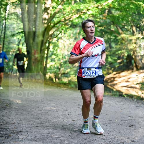 28.09.2025 - 33. Volkslauf durch das schöne Alstertal Dr. Thomas Lammeyer http://msf.ph/oto/8957758 28.09.2025 10:49:21 Laufen 3202 meine-sportfotos.de