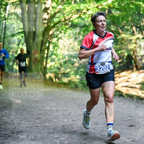 28.09.2025 - 33. Volkslauf durch das schöne Alstertal Dr. Thomas Lammeyer http://msf.ph/oto/8957759 28.09.2025 10:49:21 Laufen 3202 meine-sportfotos.de