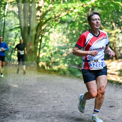 28.09.2025 - 33. Volkslauf durch das schöne Alstertal Dr. Thomas Lammeyer http://msf.ph/oto/8957760 28.09.2025 10:49:21 Laufen 3202 meine-sportfotos.de
