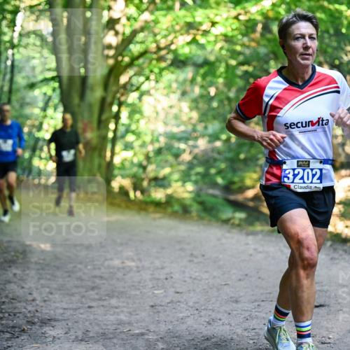 28.09.2025 - 33. Volkslauf durch das schöne Alstertal Dr. Thomas Lammeyer http://msf.ph/oto/8957761 28.09.2025 10:49:21 Laufen 3202 meine-sportfotos.de