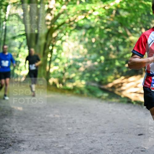 28.09.2025 - 33. Volkslauf durch das schöne Alstertal Dr. Thomas Lammeyer http://msf.ph/oto/8957763 28.09.2025 10:49:21 Laufen 3202 meine-sportfotos.de