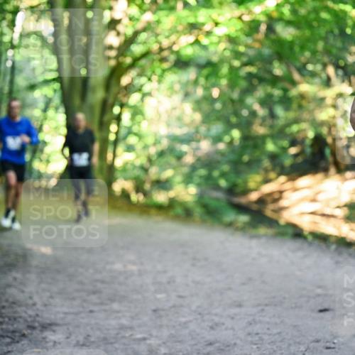 28.09.2025 - 33. Volkslauf durch das schöne Alstertal Dr. Thomas Lammeyer http://msf.ph/oto/8957765 28.09.2025 10:49:22 Laufen 320 meine-sportfotos.de