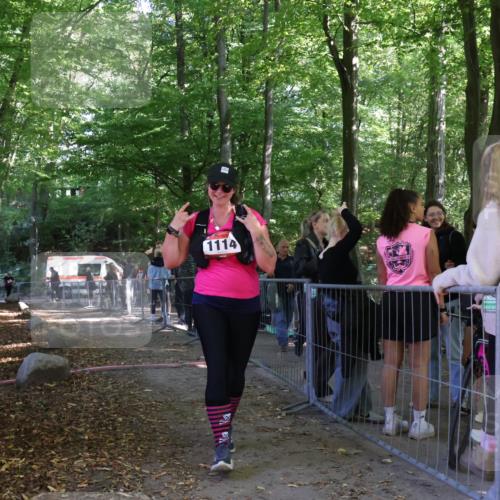 28.09.2025 - 33. Volkslauf durch das schöne Alstertal Strokosch-Dieckow http://msf.ph/oto/8957780 28.09.2025 13:05:32 Ziel  meine-sportfotos.de