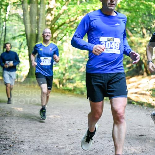 28.09.2025 - 33. Volkslauf durch das schöne Alstertal Dr. Thomas Lammeyer http://msf.ph/oto/8957784 28.09.2025 10:49:25 Laufen 3298, 70, 3049, 3181 meine-sportfotos.de