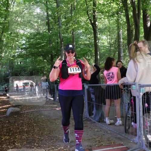 28.09.2025 - 33. Volkslauf durch das schöne Alstertal Strokosch-Dieckow http://msf.ph/oto/8957790 28.09.2025 13:05:32 Ziel  meine-sportfotos.de