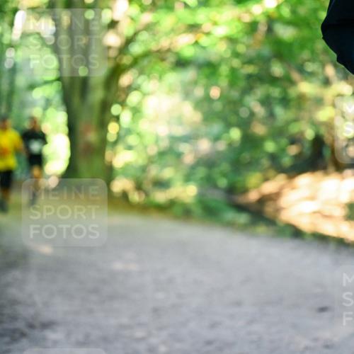 28.09.2025 - 33. Volkslauf durch das schöne Alstertal Dr. Thomas Lammeyer http://msf.ph/oto/8957807 28.09.2025 10:49:29 Laufen  meine-sportfotos.de